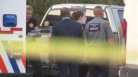 Quadruple New York homicide might have been avoided if .